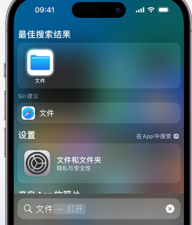 大同apple维修中心分享iPhone文件应用中存储和找到下载文件 