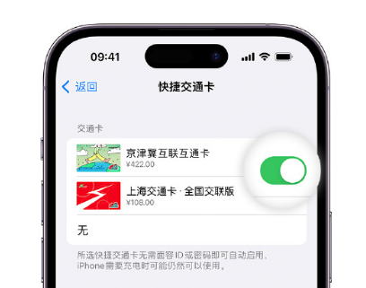 大同apple维修点分享iPhone上更换Apple Pay快捷交通卡手绘卡面 