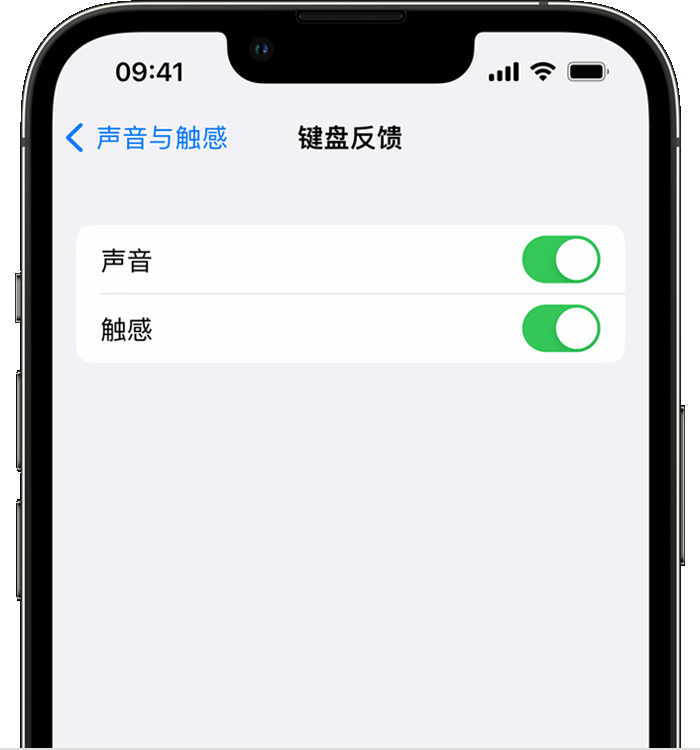 大同苹果14维修店分享如何在 iPhone 14 机型中使用触感键盘 