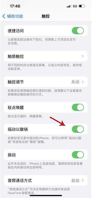 大同苹果手机维修分享iPhone手机如何设置摇一摇删除文字 