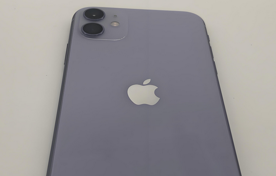 大同苹果11系统维修分享iPhone11手机系统崩溃无法开机如何解决 
